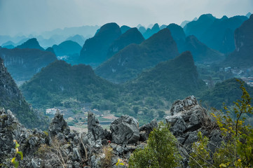 关于动物的英语手抄报