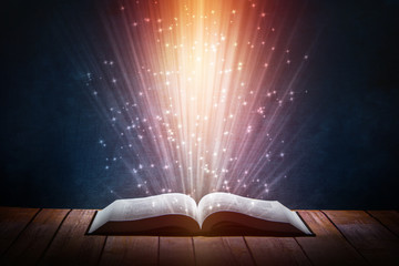 主编是什么意思