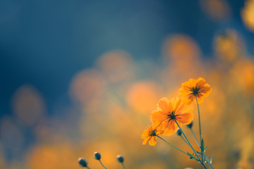 妈妈的手琦君佳句赏析