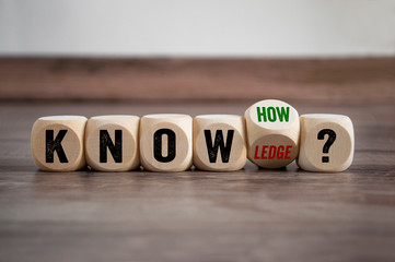 主编是什么意思