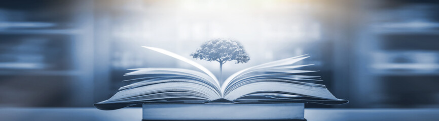 关于动物的英语手抄报