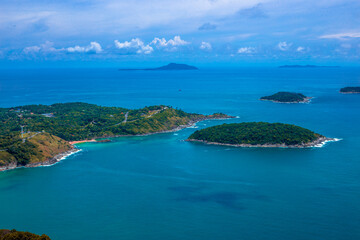 主编是什么意思