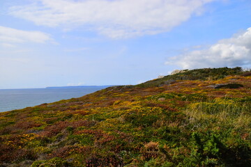 妈妈的手琦君佳句赏析