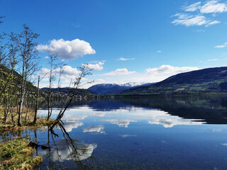 景德镇青花盘子值钱吗