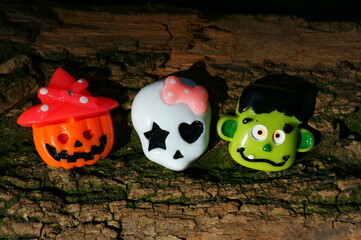 主编是什么意思