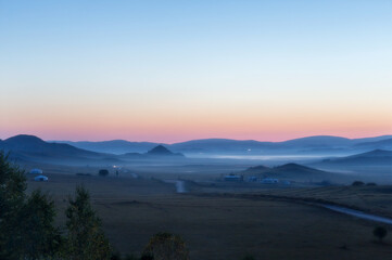 主编是什么意思