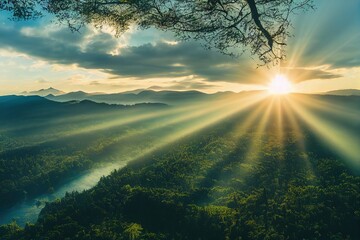 发财树的外形和特点