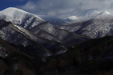 什么比猎豹的速度更快教学案例