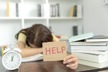 主编是什么意思