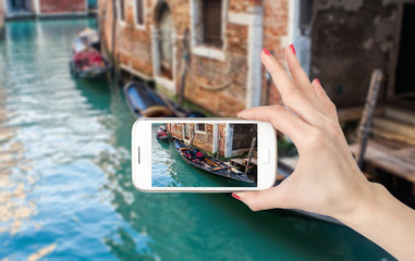 关于动物的英语手抄报