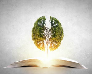 人教版小学二年级上册数学期末试卷