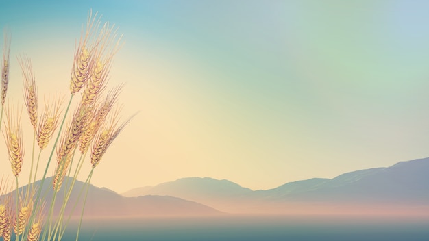 人教版小学二年级上册数学期末试卷