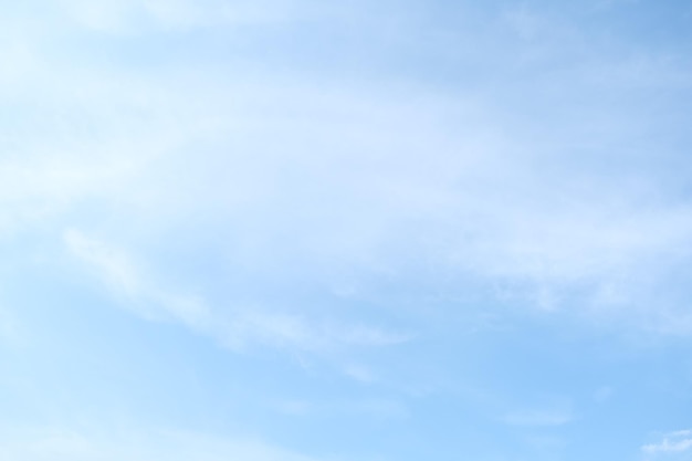 人教版小学二年级上册数学期末试卷