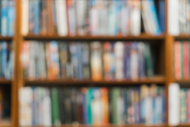 主编是什么意思